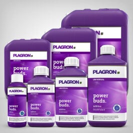 Plagron Power Buds, 100ml-20L