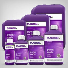 Plagron Power Roots, 100ml-20L